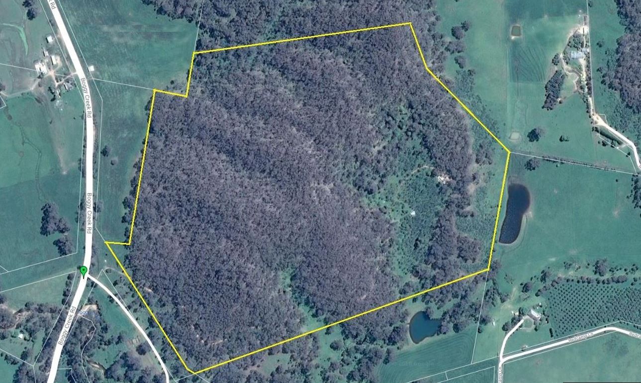 1053 Boggy Creek Rd, Myrrhee VIC 3732 House for Sale Domain