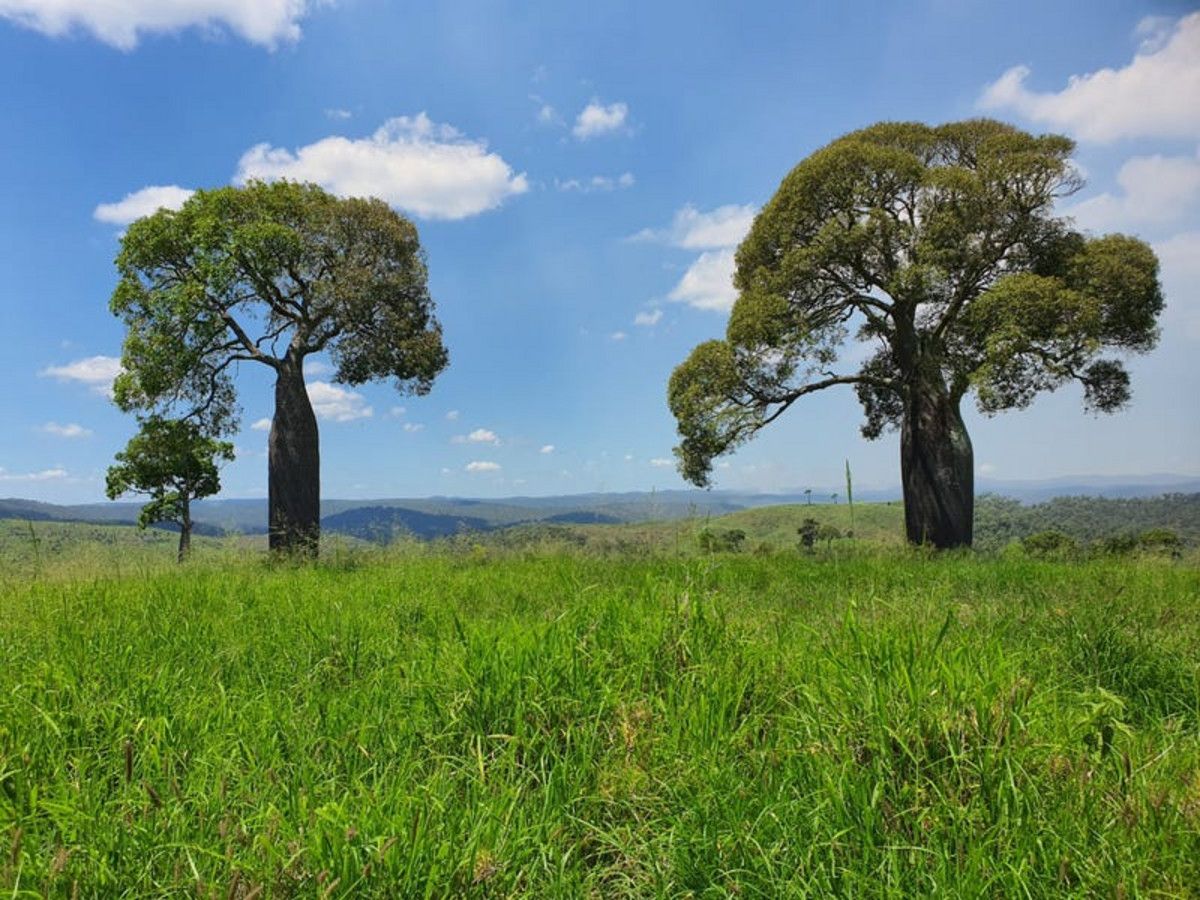 Tellebang Road, Monto QLD 4630, Image 0