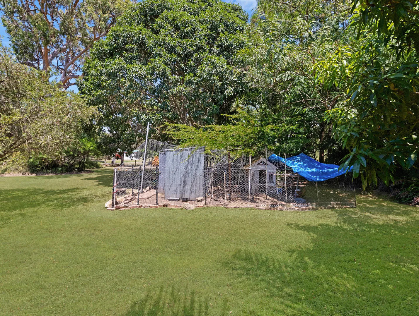 Image 17