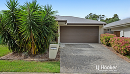 Picture of 19 Tempera Place, YARRABILBA QLD 4207