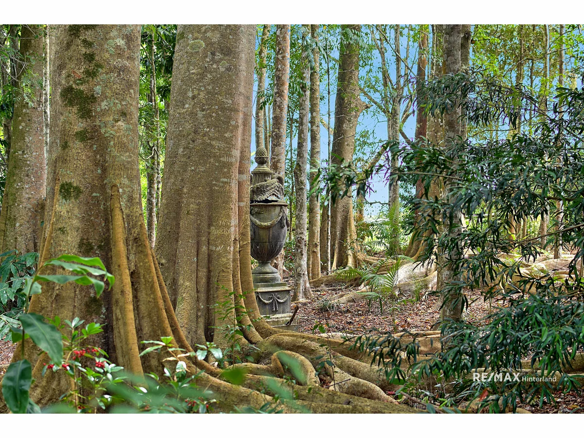 Image 19