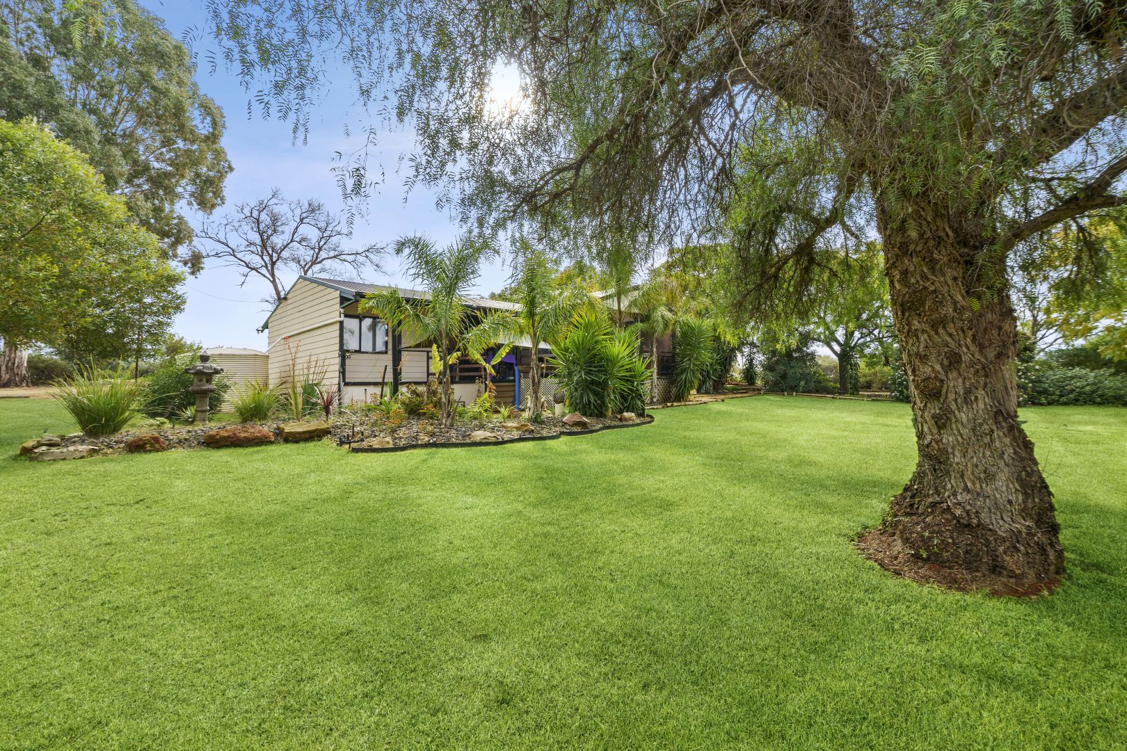 174 Loveday Road, Cobdogla SA 5346, Image 1