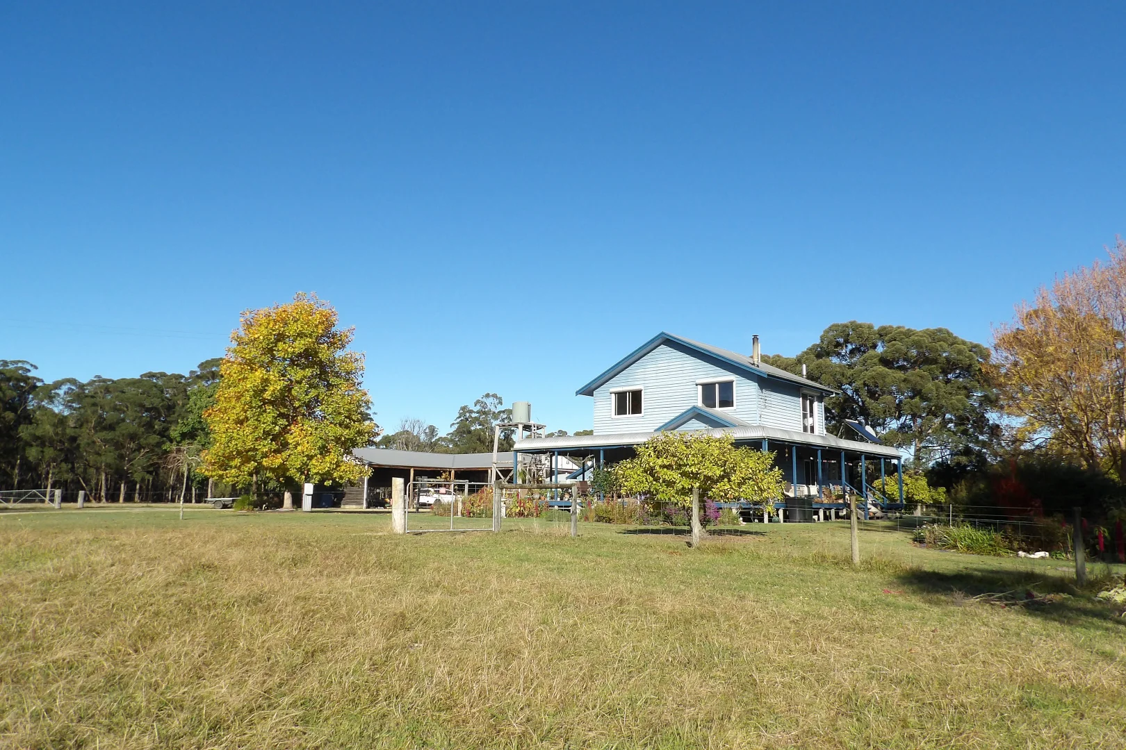 Image 3