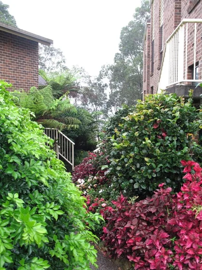 Additional image 16 of 11 High Street, Batemans Bay NSW 2536