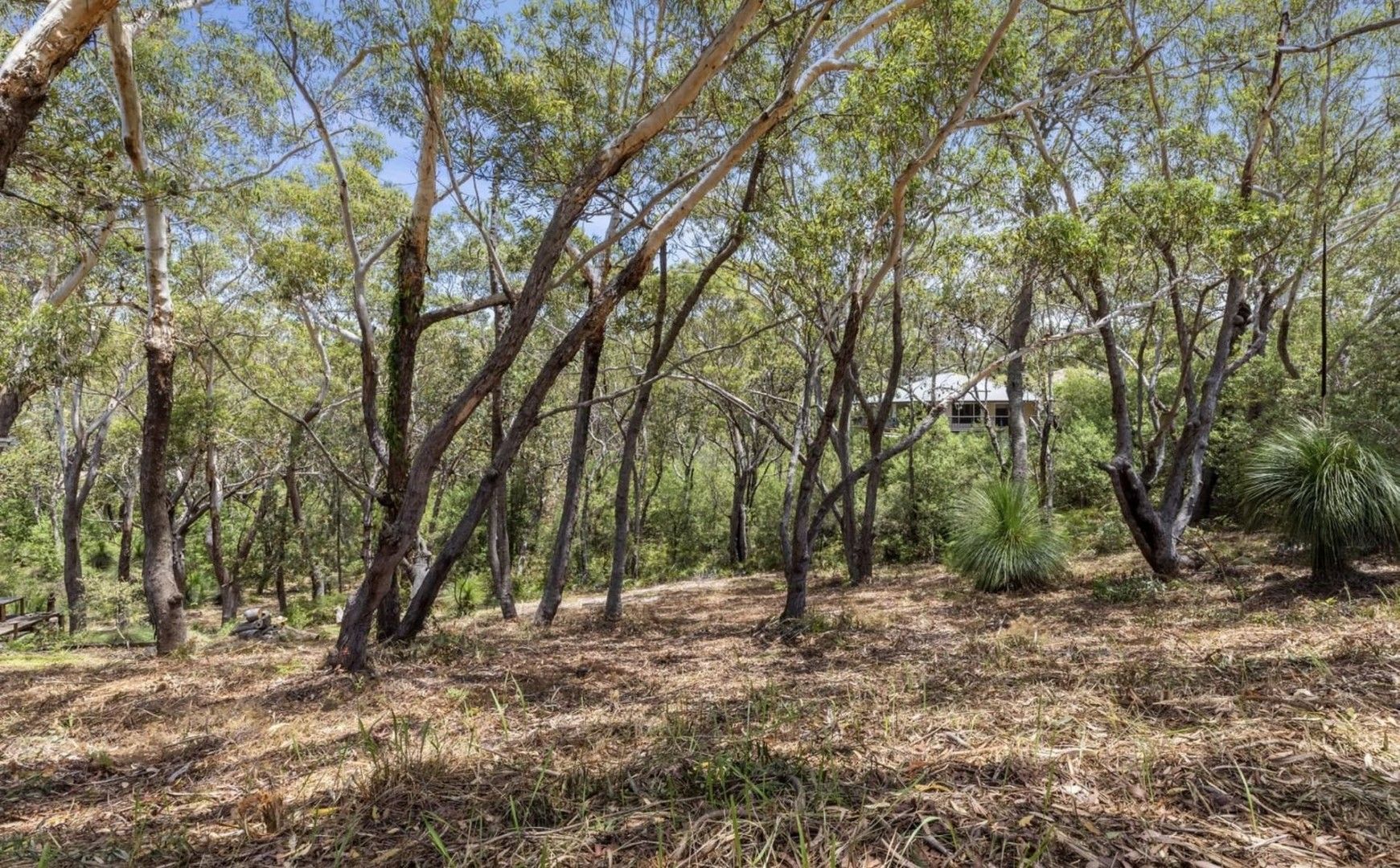 11 Birramal Drive, Dunbogan NSW 2443, Image 0