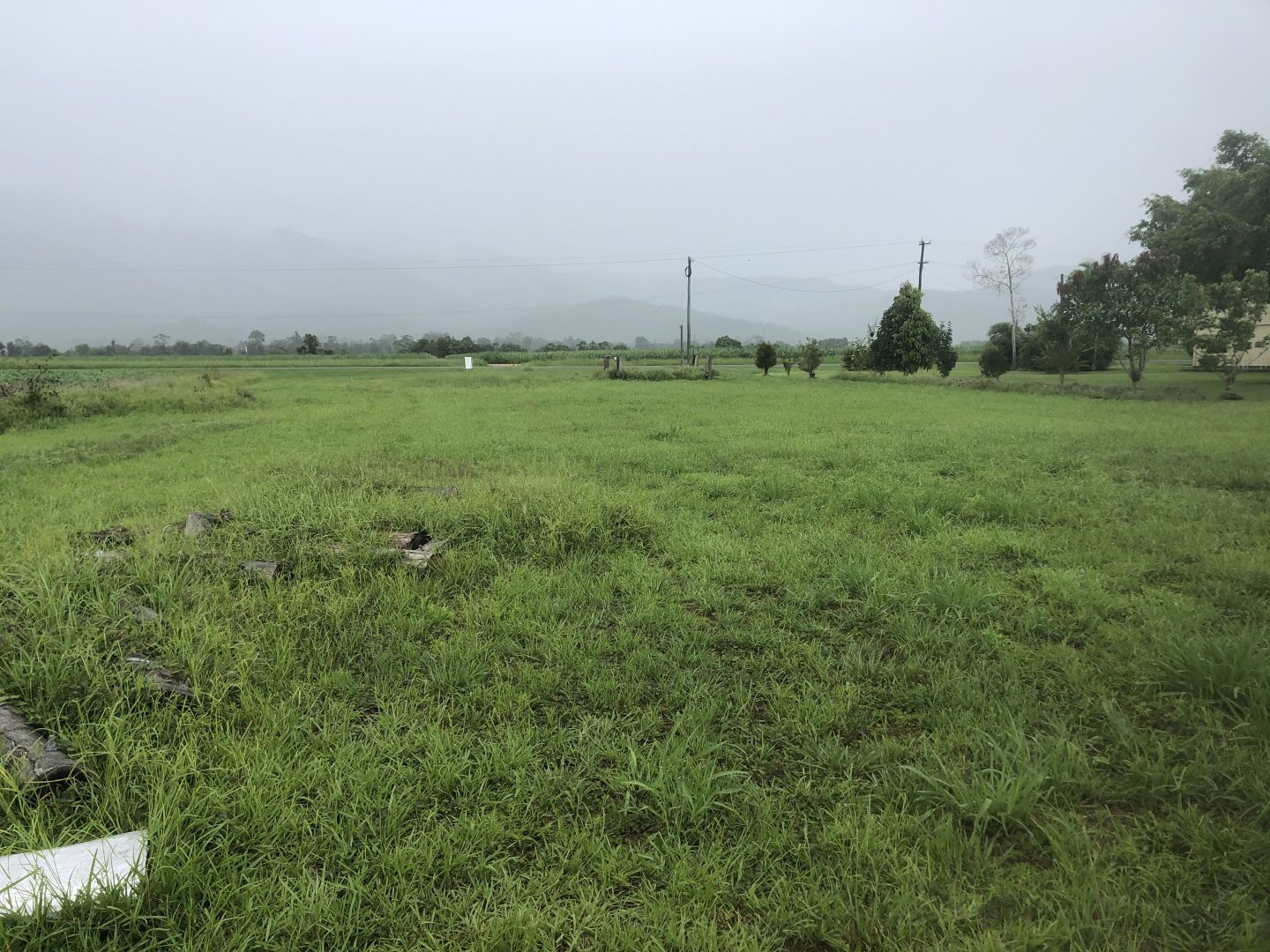 Lot 2 Old Tully Road, Midgenoo QLD 4854, Image 2