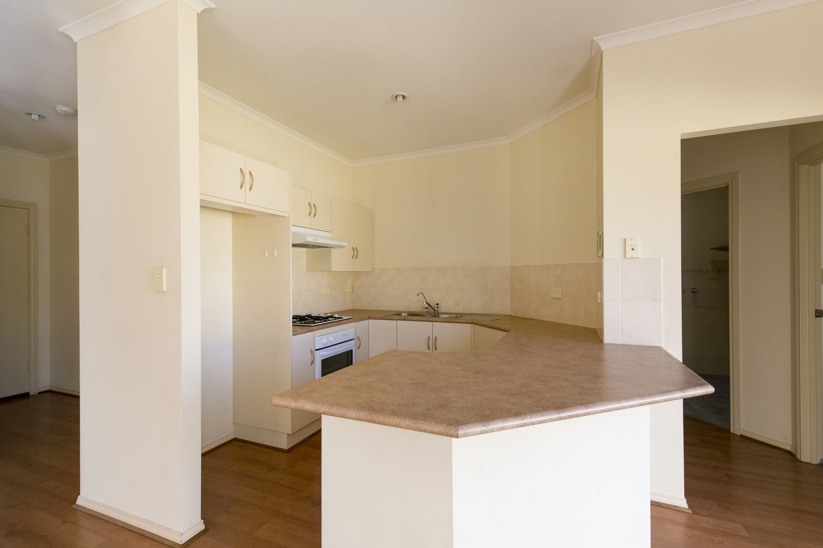 8B Napier Street, Renown Park SA 5008 House For Rent Domain