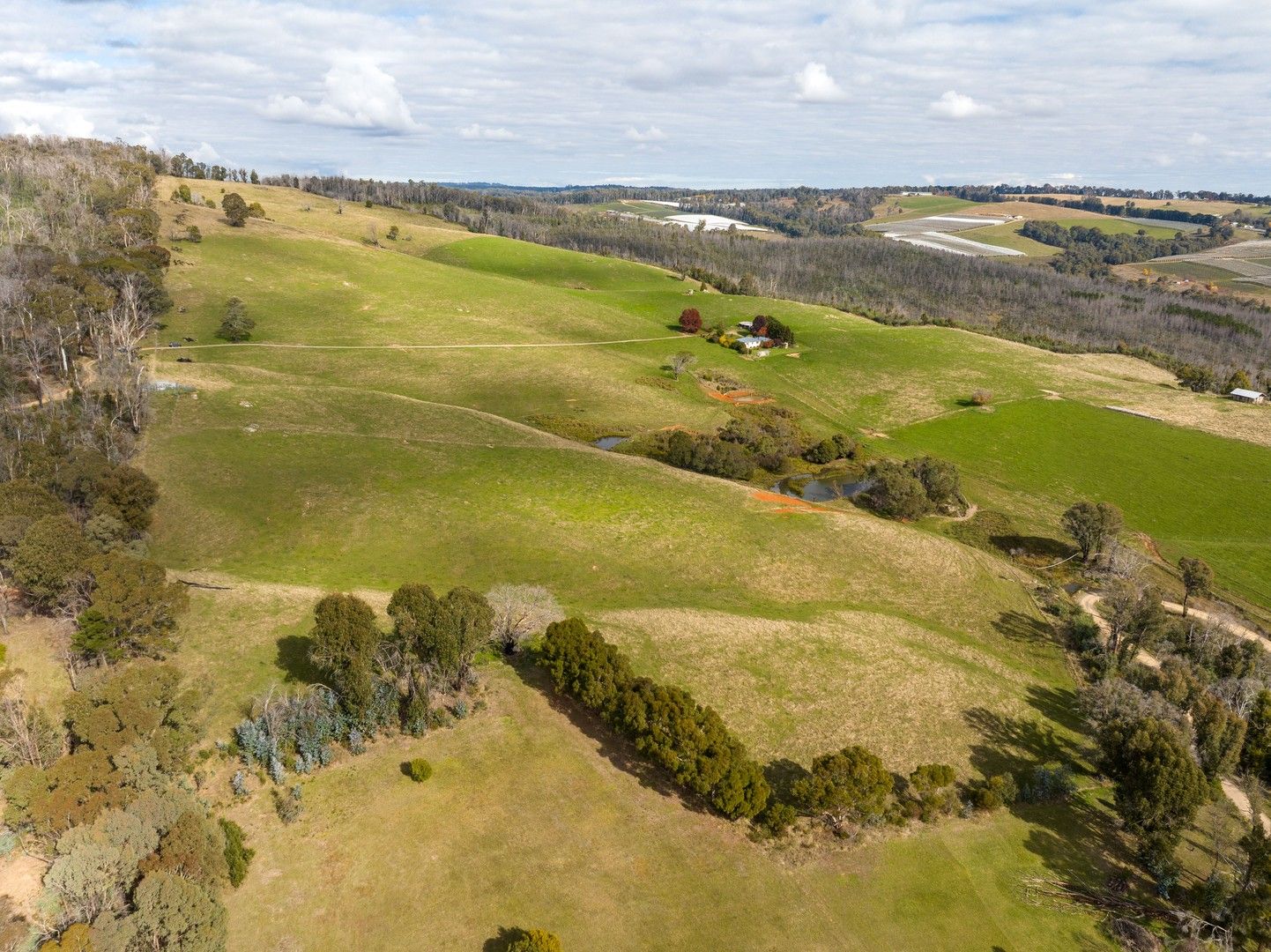 'Golden Grove' 54 Golden Grove Road, Batlow NSW 2730 Farm for Sale