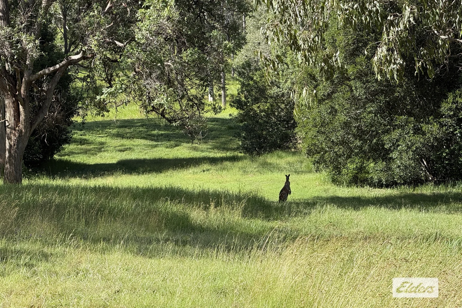 Additional image 34 of 54 Kinen Lane, Canina QLD 4570