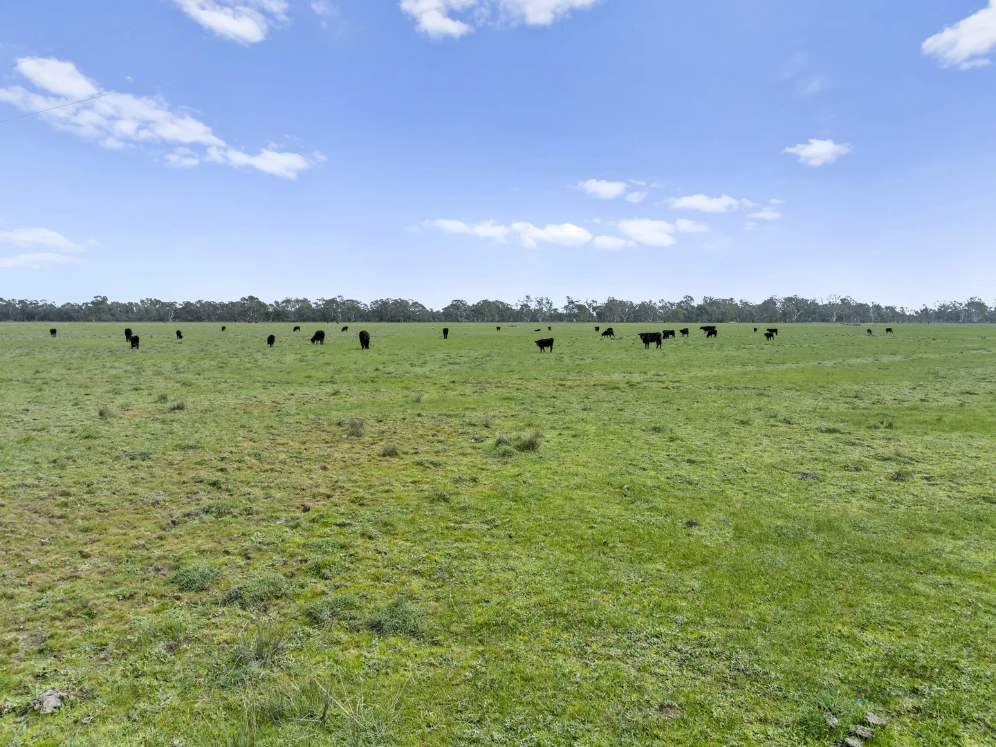 Additional image 12 of Lots 2 & 3/523 Lomers Road, Balmattum VIC 3666