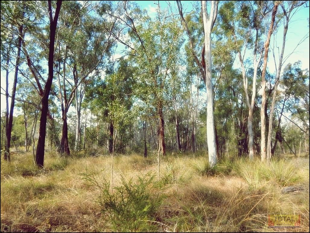 Lot 17 Pine Ridge Road, Condamine Farms QLD 4357, Image 0