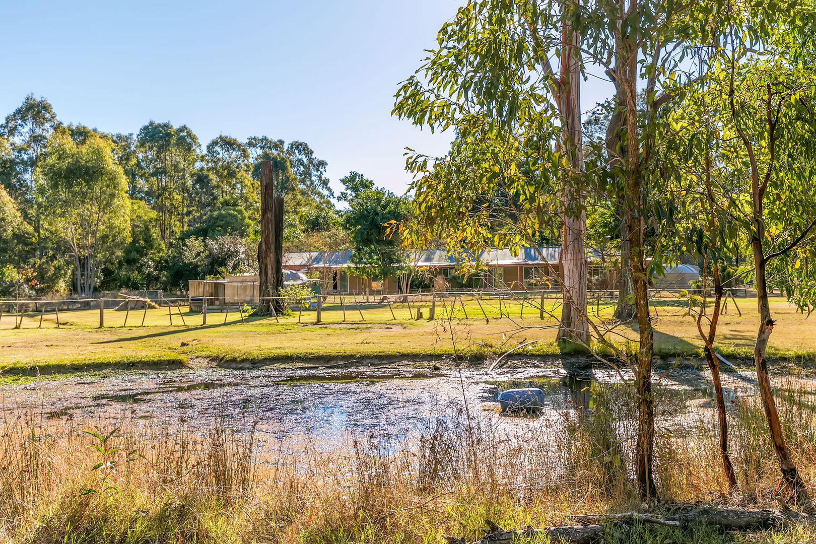 9-19 Wenlock Ct, Logan Village QLD 4207, Image 2