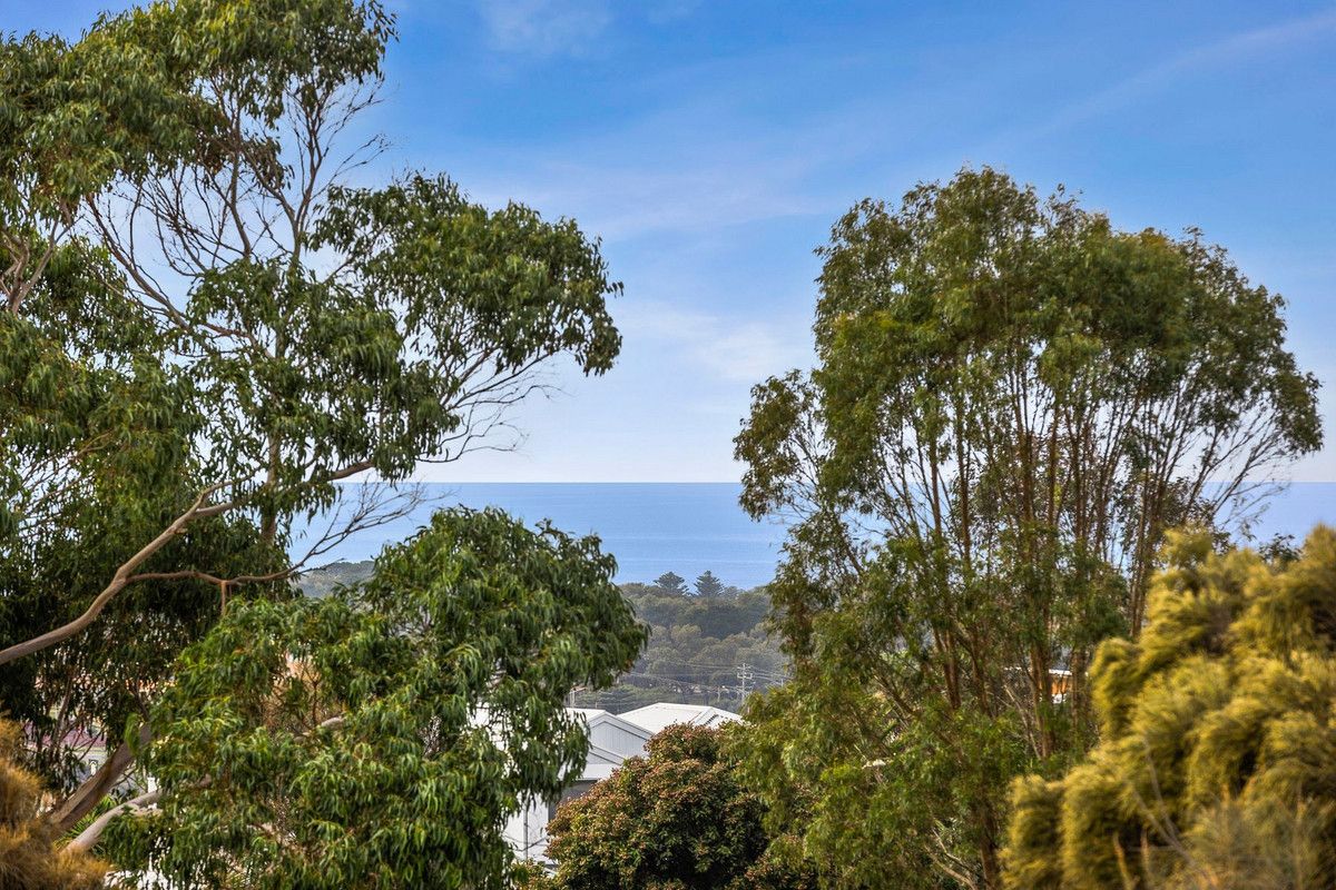 12 Manna Gum Drive, Torquay VIC 3228, Image 2