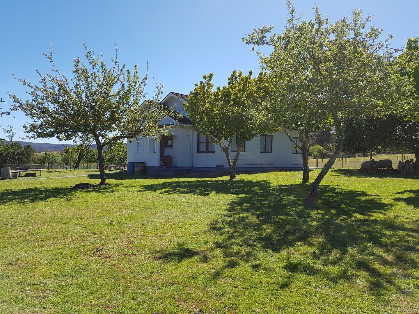 515 Endrick River Road, Nerriga NSW 2622, Image 0