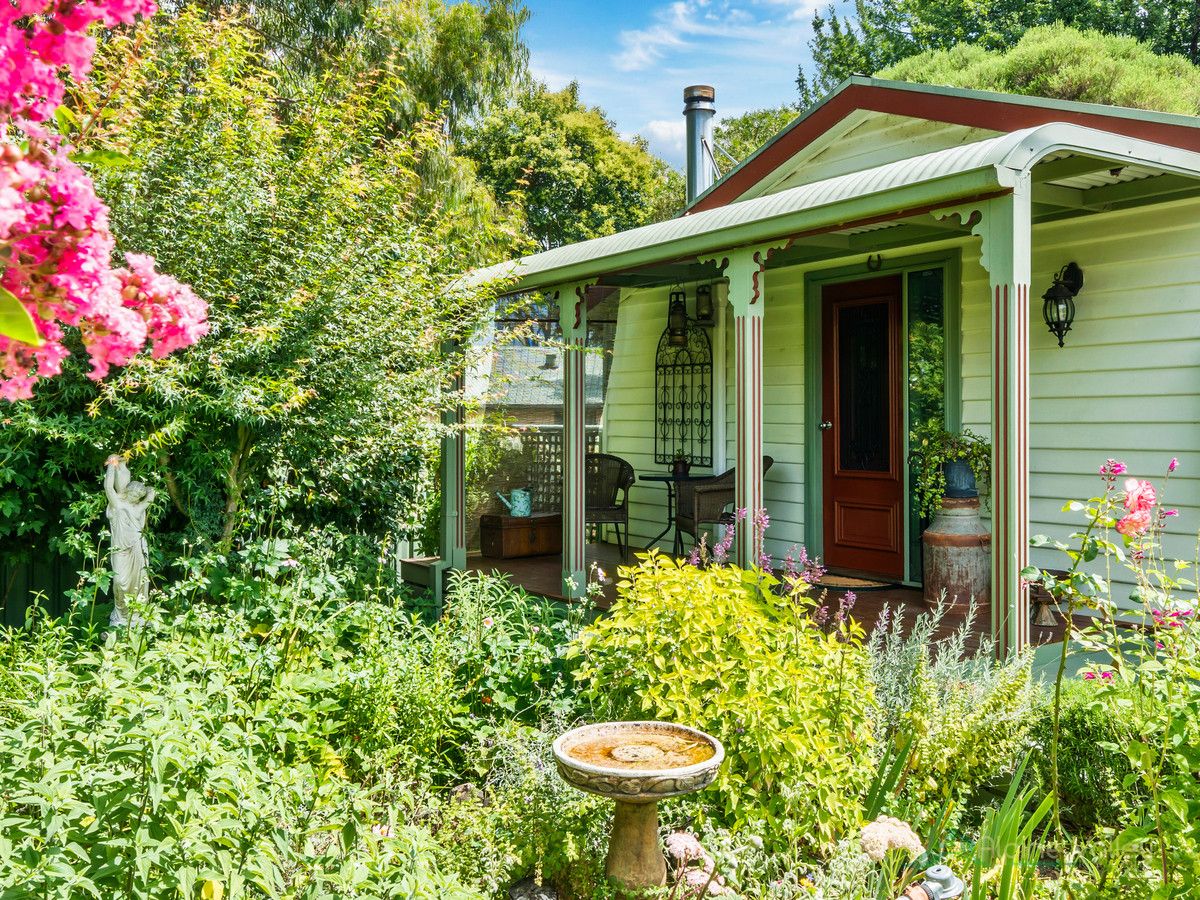 5 Freeburgh Avenue, Mount Beauty VIC 3699 Domain