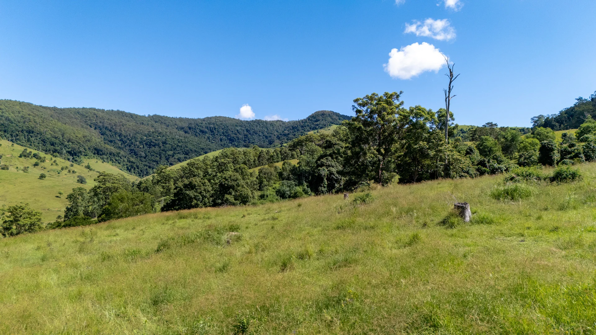 Additional image 8 of L25/507 Stony Creek Road, Kimbriki NSW 2429