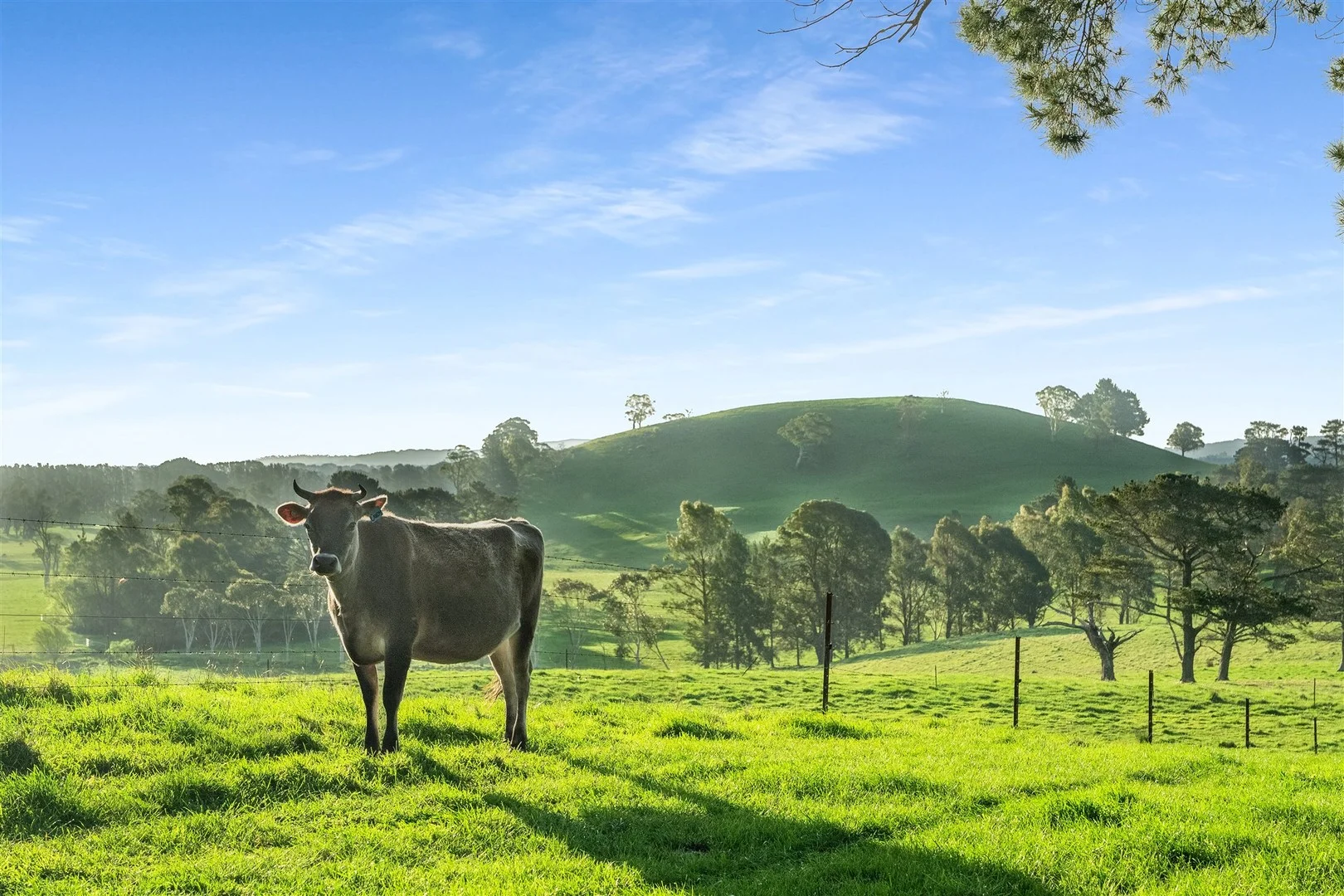 790 Kangaloon Road, Glenquarry NSW 2576