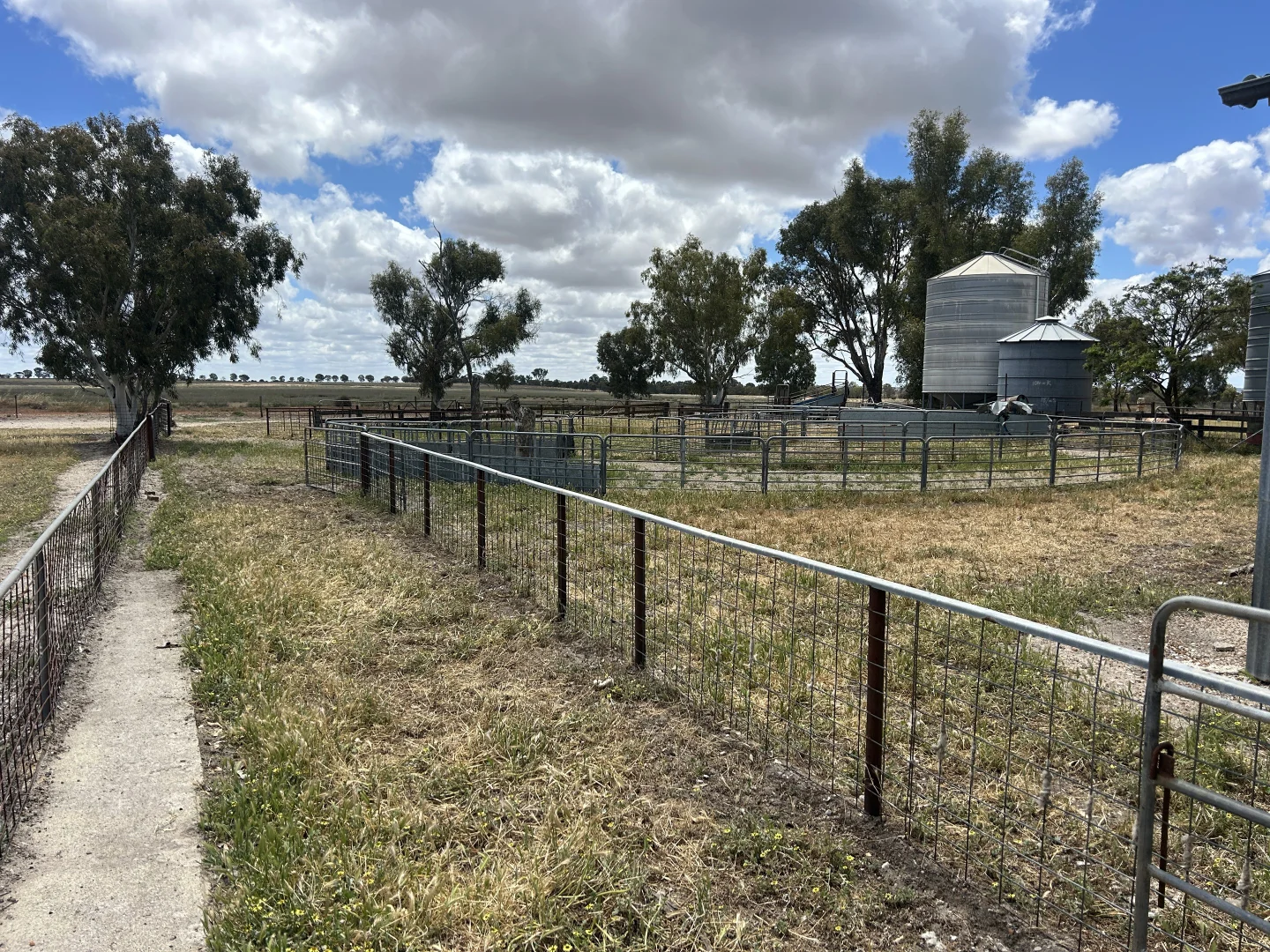 Image 12