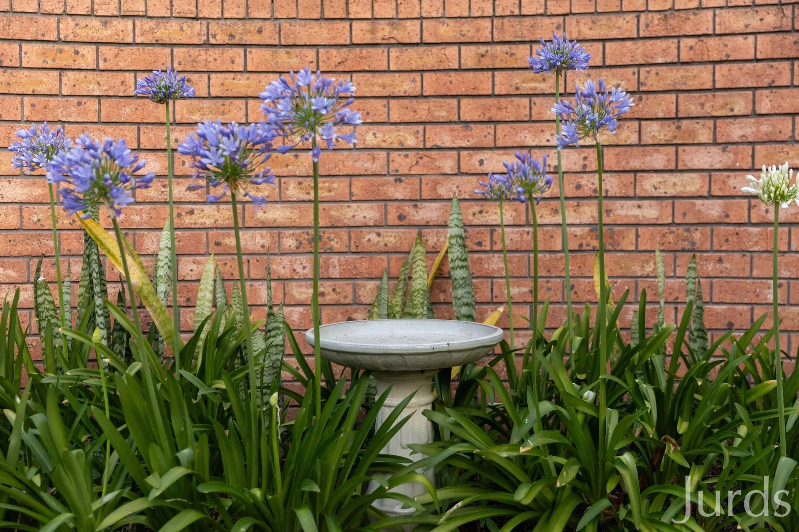 Additional image 32 of 68 Keelendi Road, Bellbird Heights NSW 2325