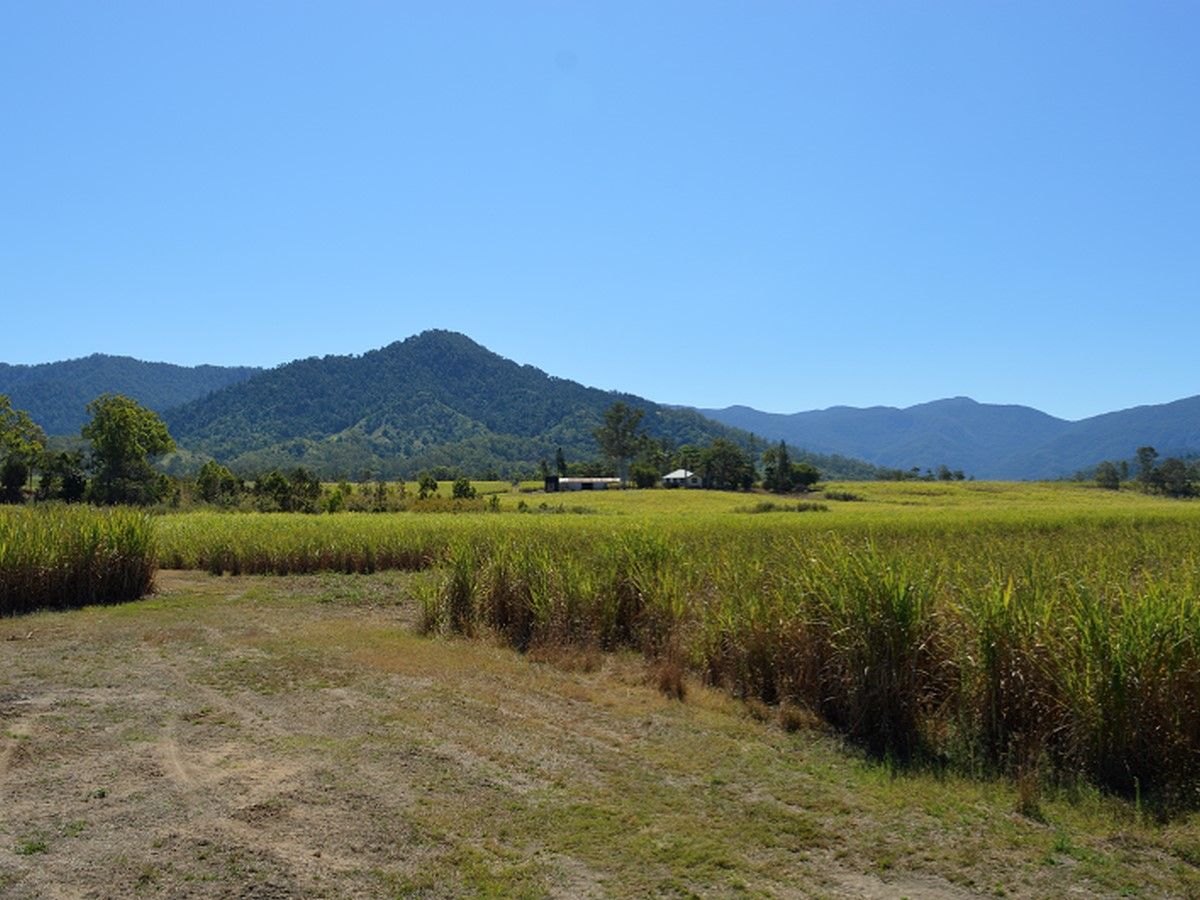 Finch Hatton QLD 4756, Image 2