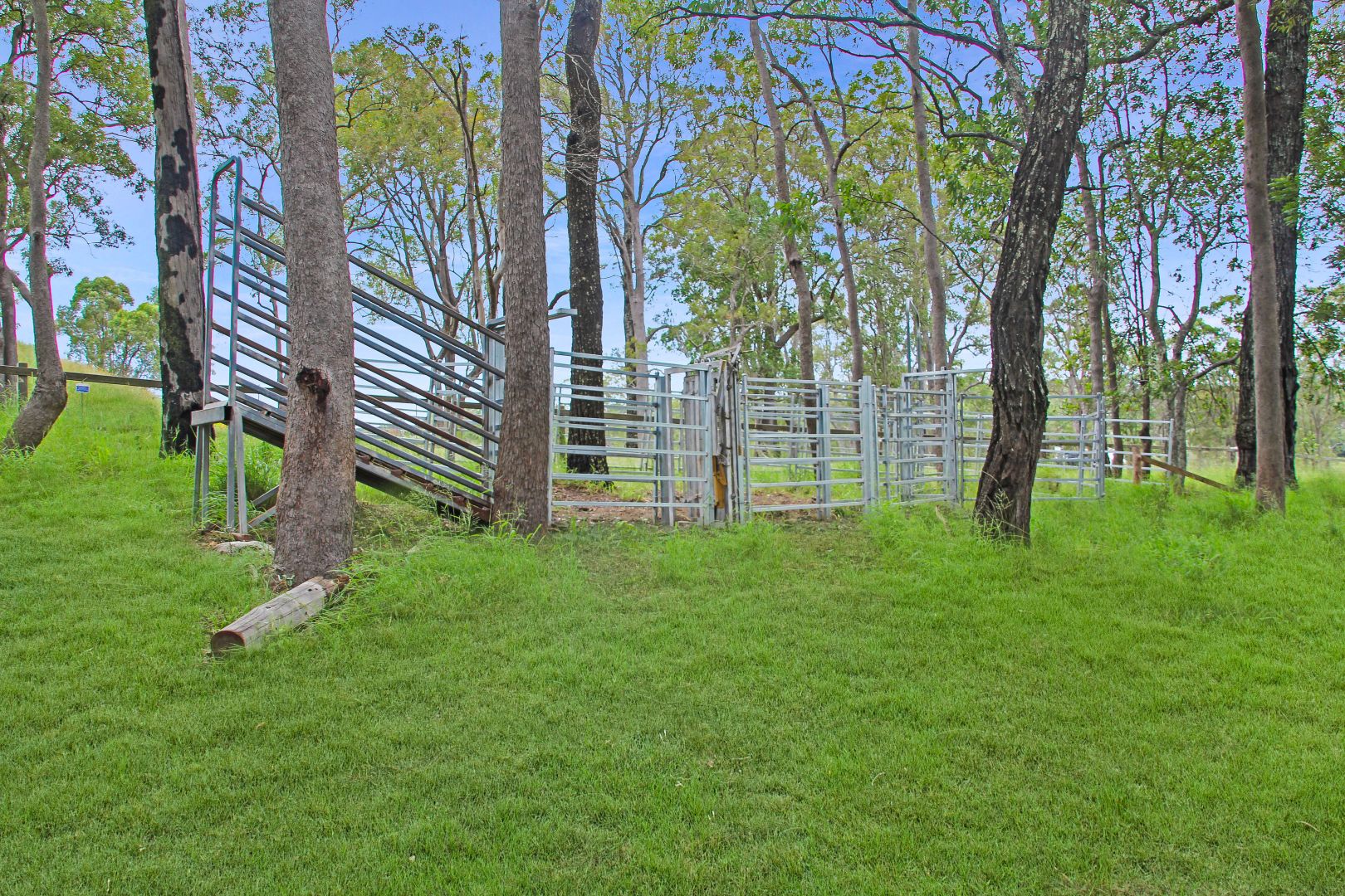 67 Runnymede Road, Kyogle NSW 2474 House for Sale 610,000