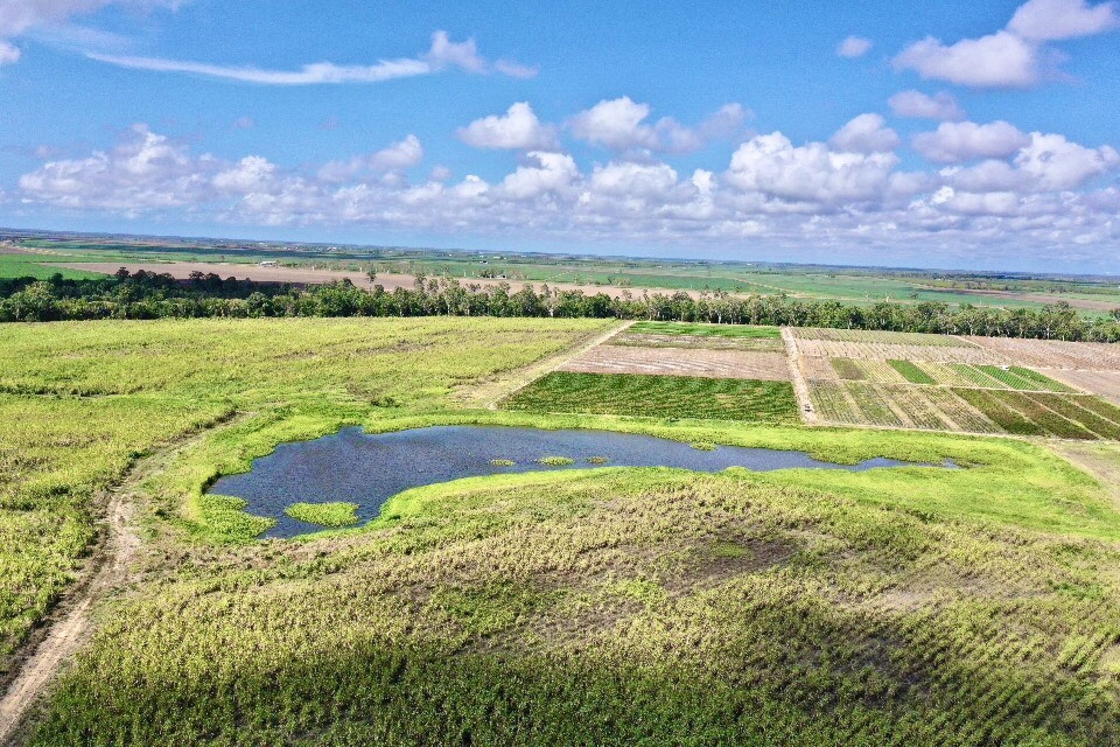 779 Bahr Road, Majors Creek QLD 4816 House for Sale Domain