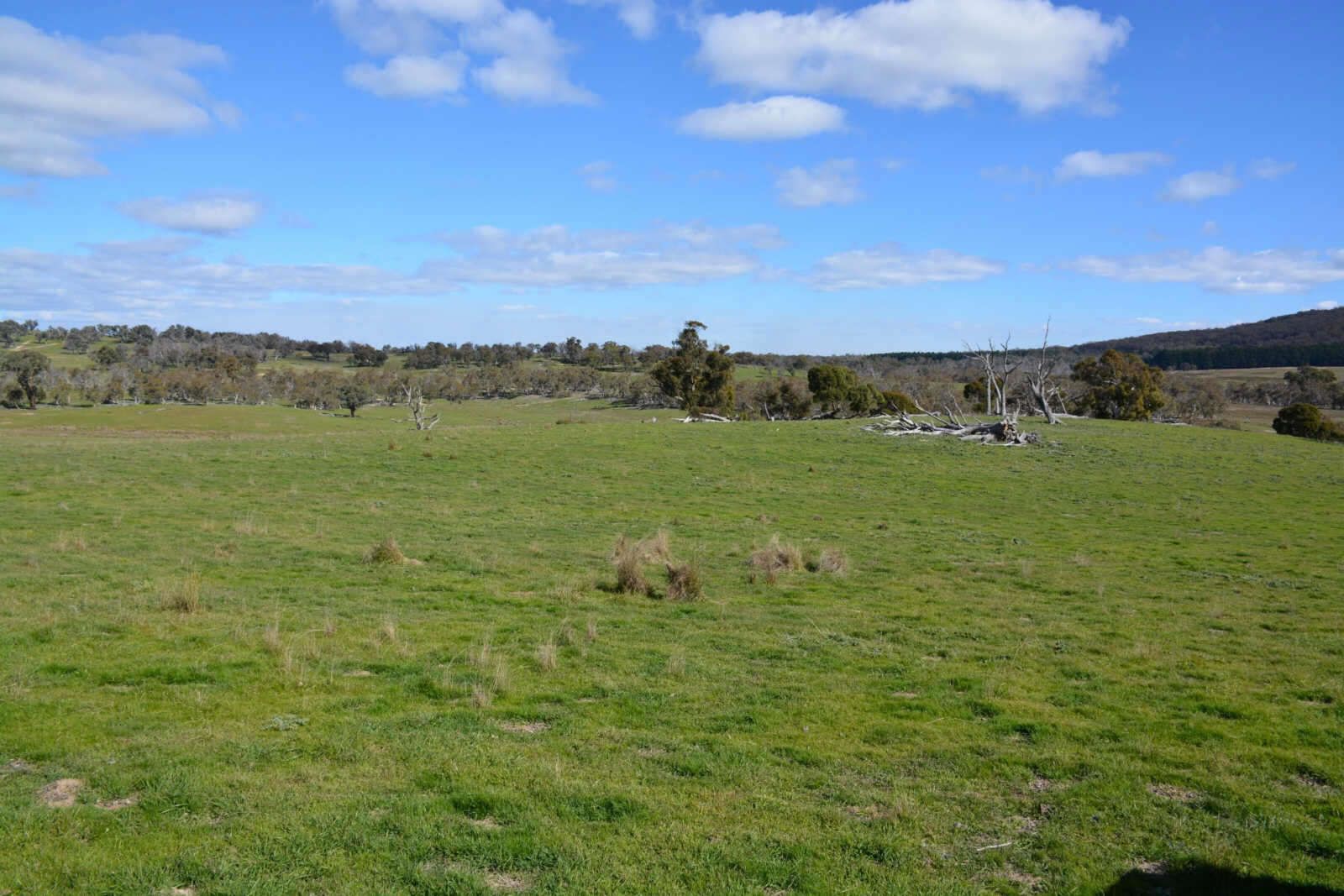 5, 3584 Kings Highway, Bungendore NSW 2621, Image 2