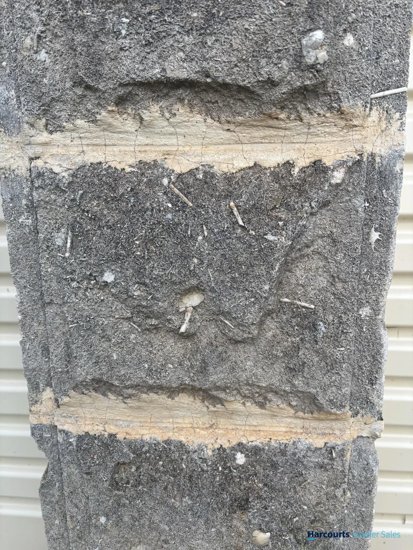 Image 18