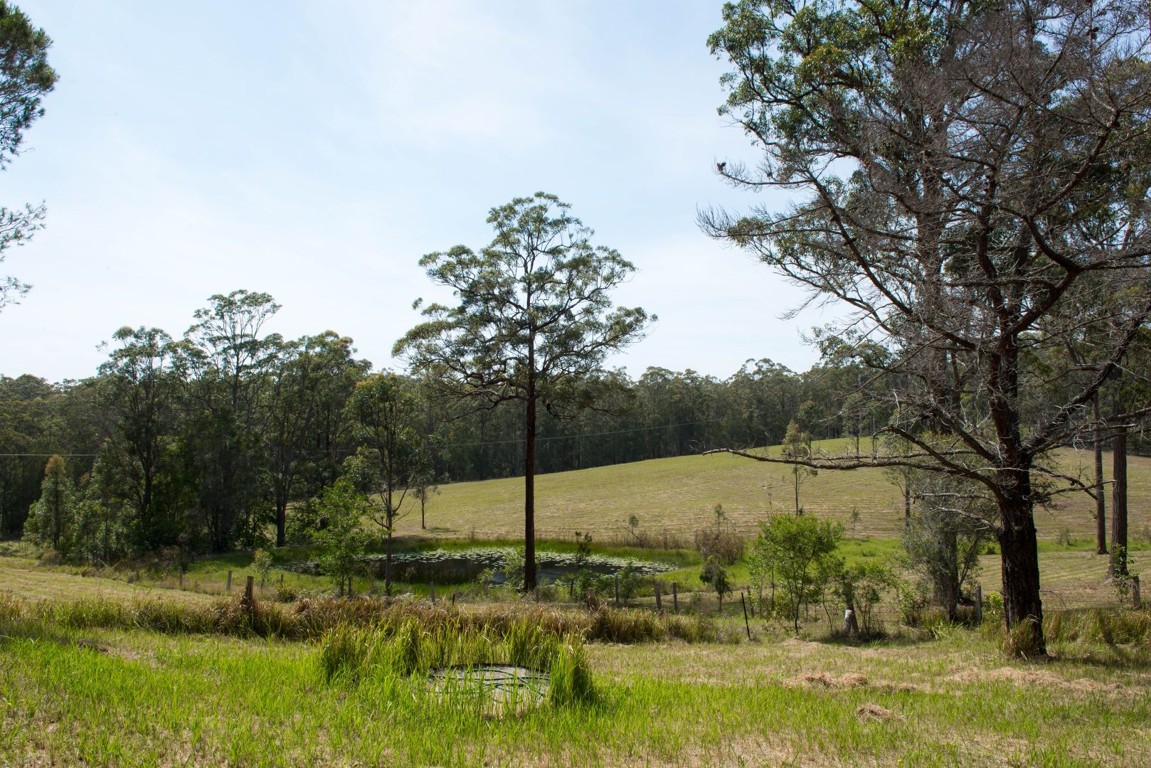 1730 The Lakes Way, Rainbow Flat NSW 2430, Image 1