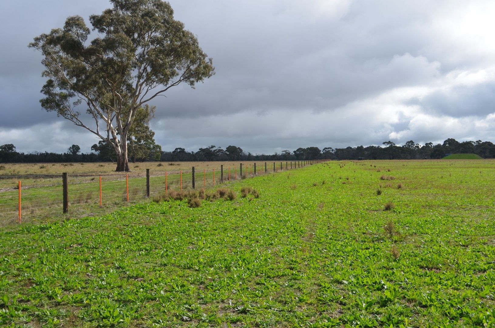 00 Government Road, Edenhope VIC 3318, Image 0