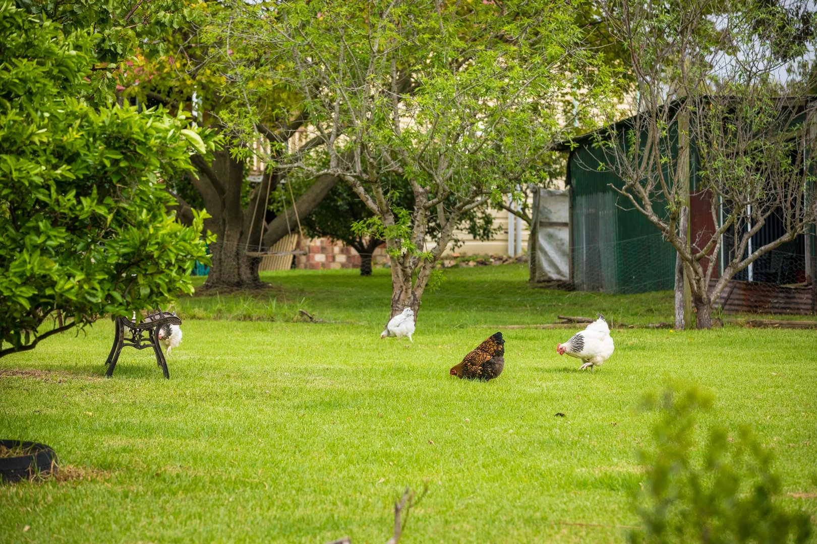 Additional image 45 of 286 Bald Hills Road, Bald Hills NSW 2549