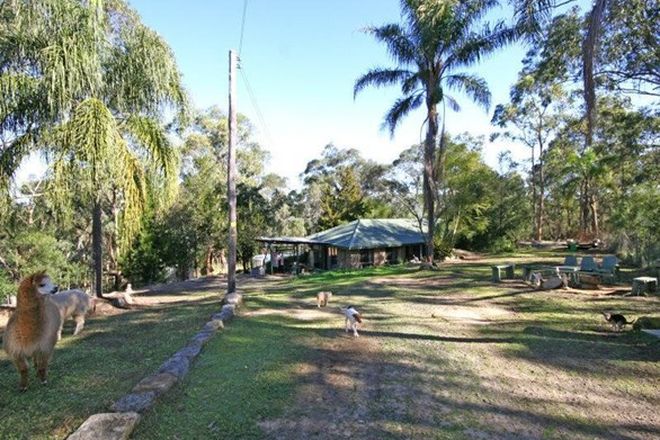Picture of 2 Grey Gum Close, EAST KURRAJONG NSW 2758