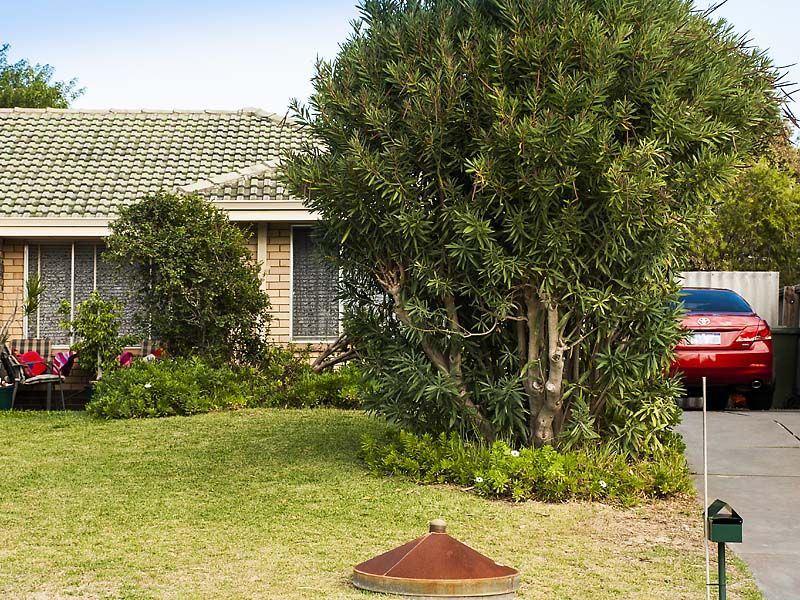 17B Frederick Street, SHOALWATER WA 6169, Image 0