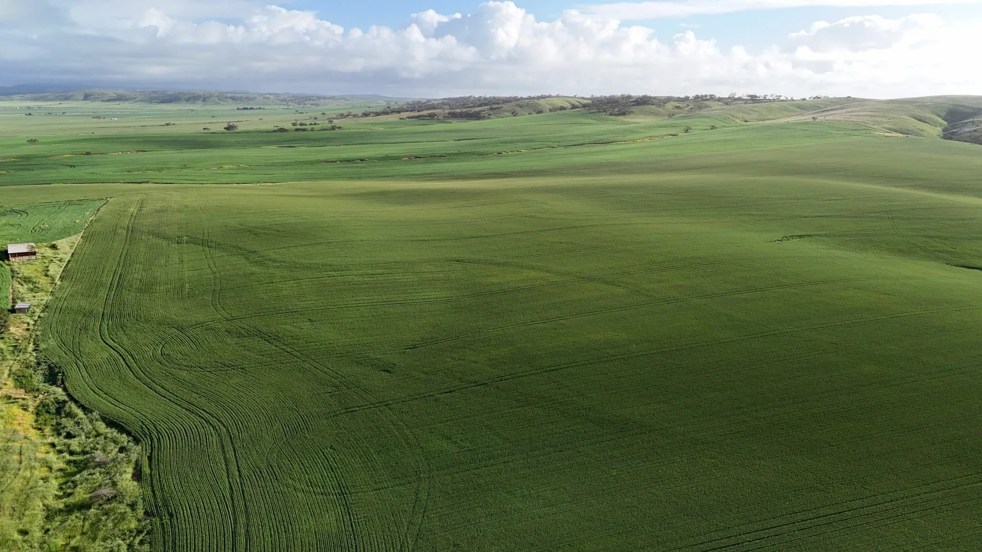 Additional image 7 of 'Crystal Valley' Talbots Road, Crystal Brook SA 5523