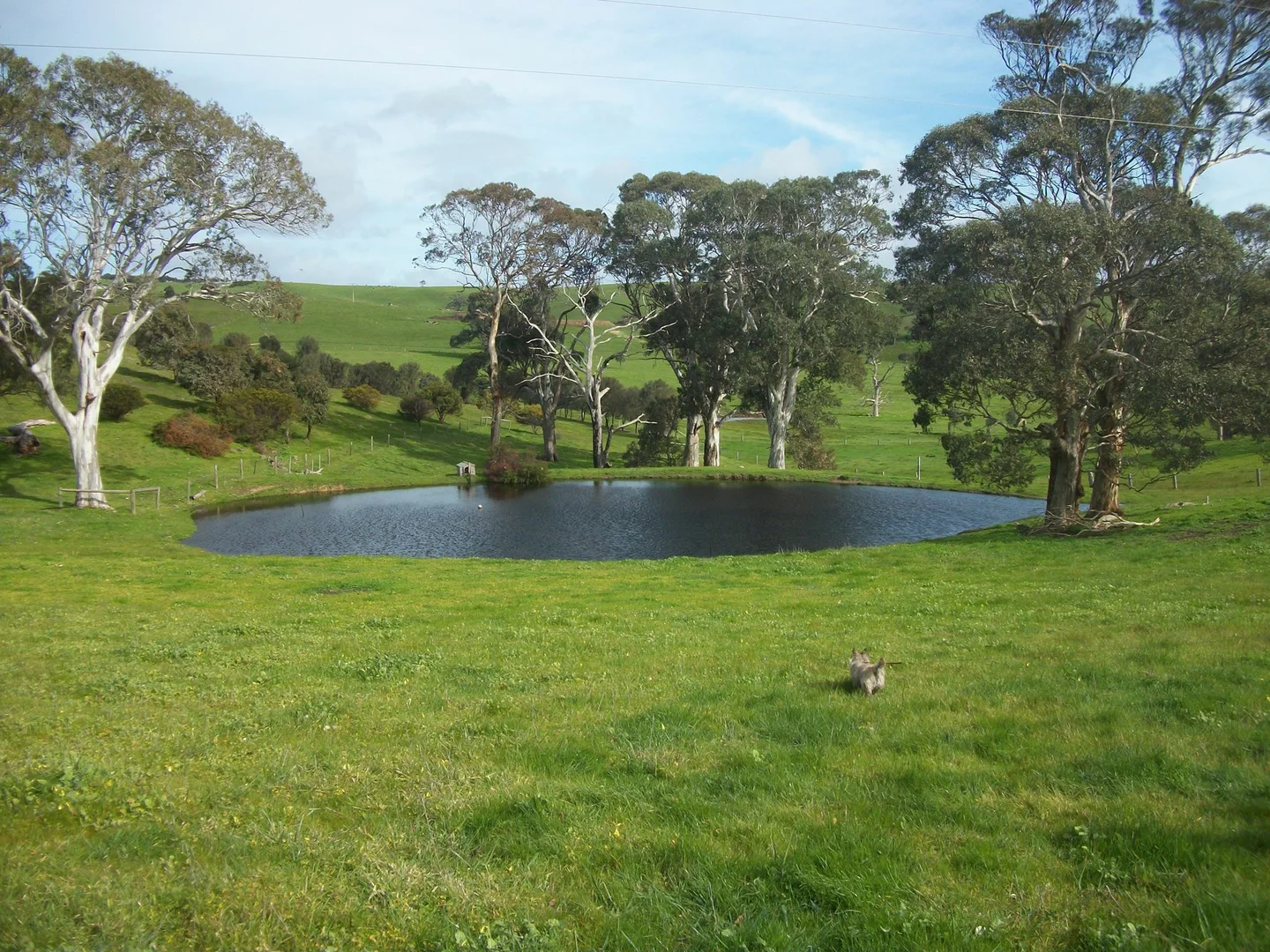 Image 31