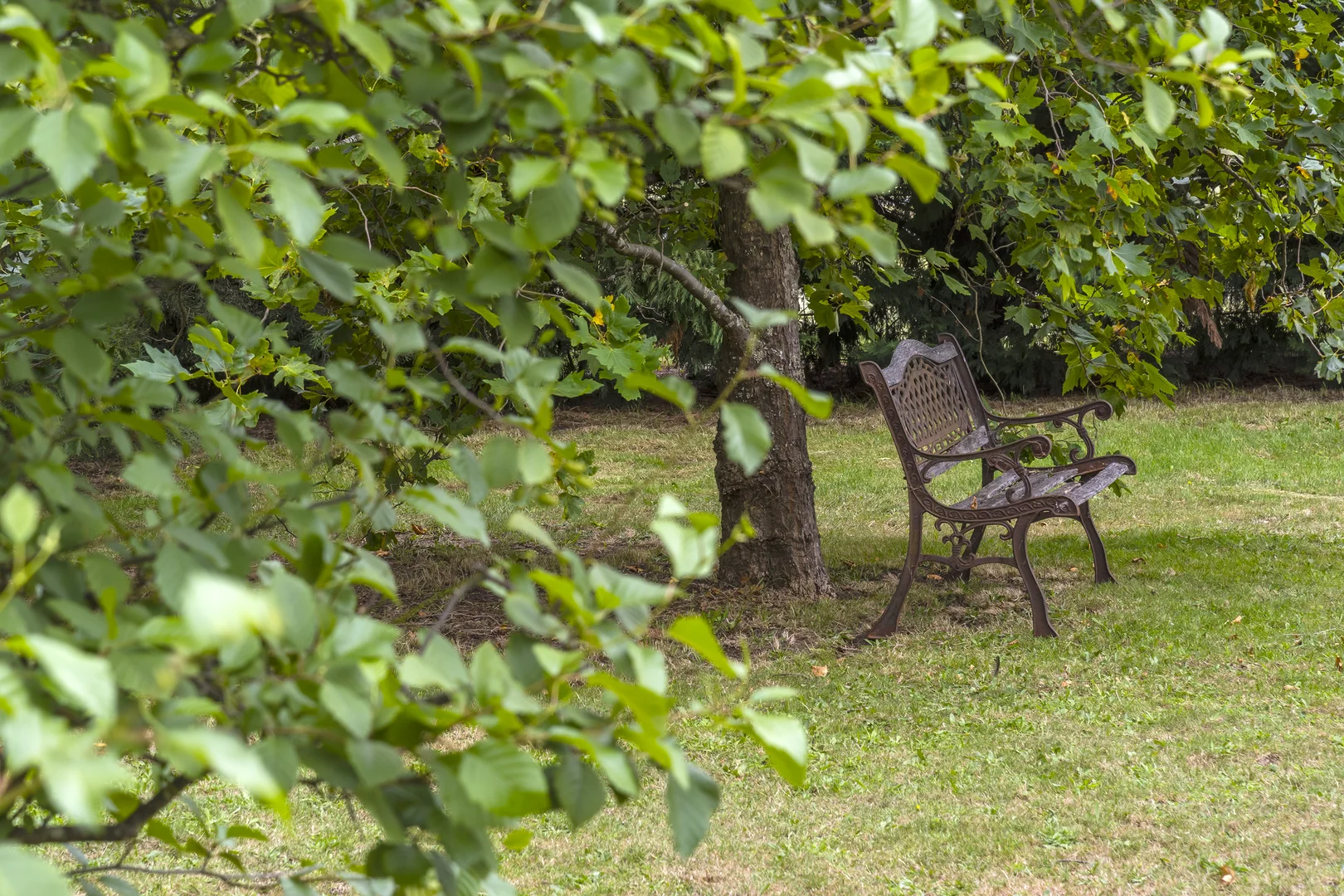 Image 28