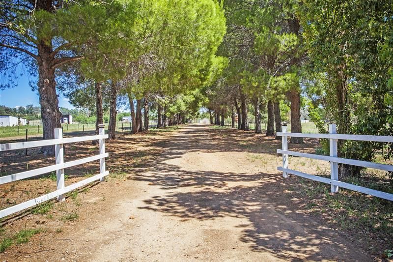 23 Cummins Drive, San Isidore Property History & Address Research