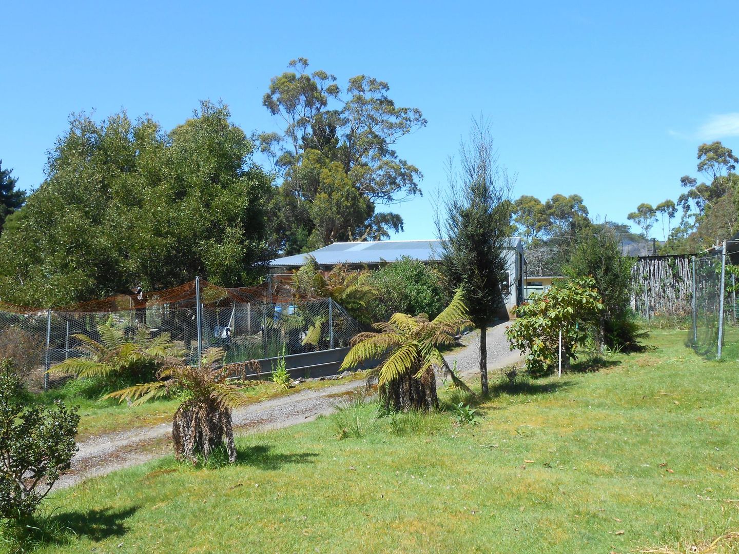 12 whyte street, Zeehan TAS 7469, Image 1