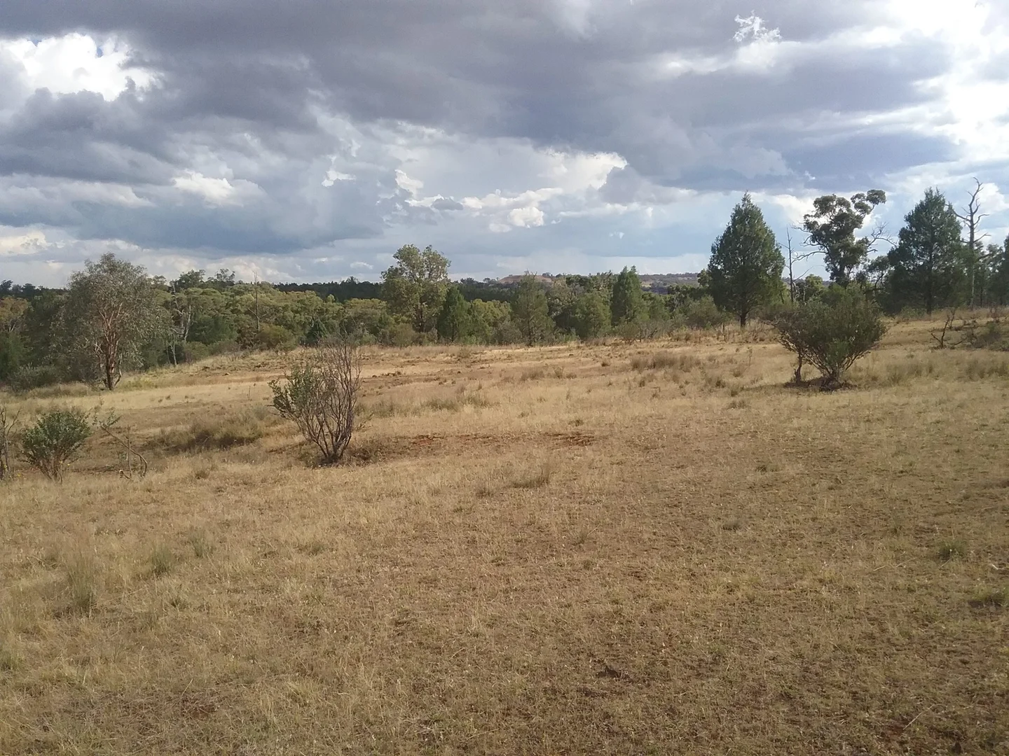 Additional image 5 of 141 Cenn Cruaich Road, Coonabarabran NSW 2357