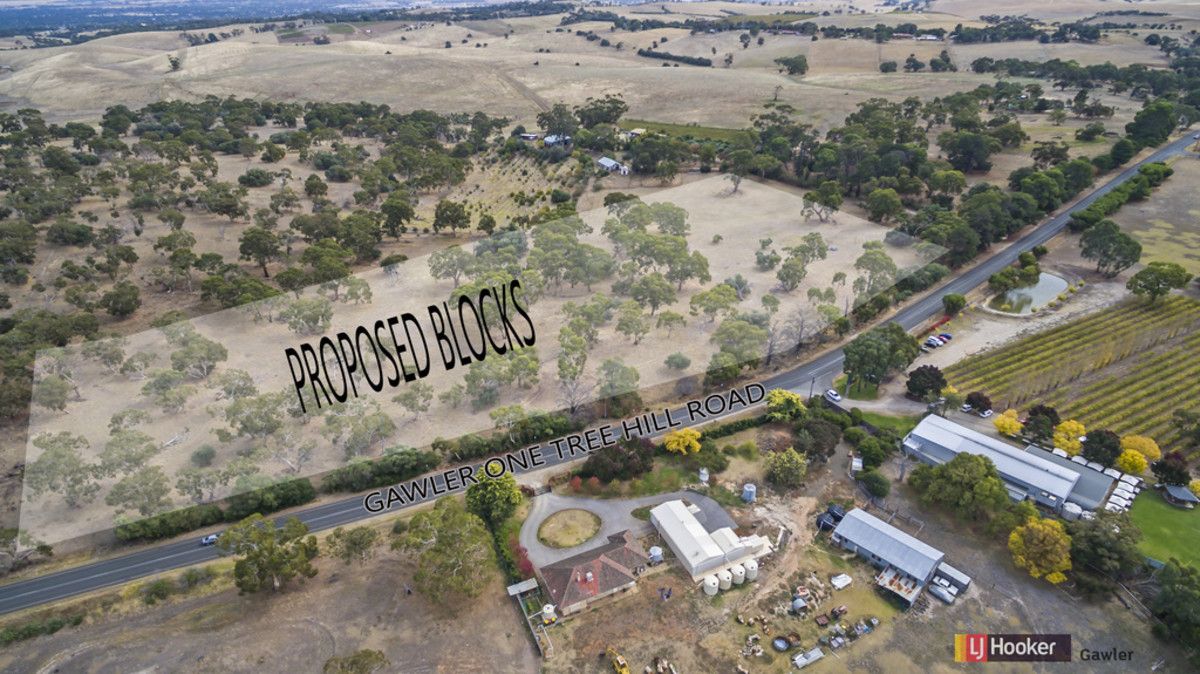 Lot 51/1054 Gawler One Tree Hill Road, One Tree Hill SA 5114, Image 1