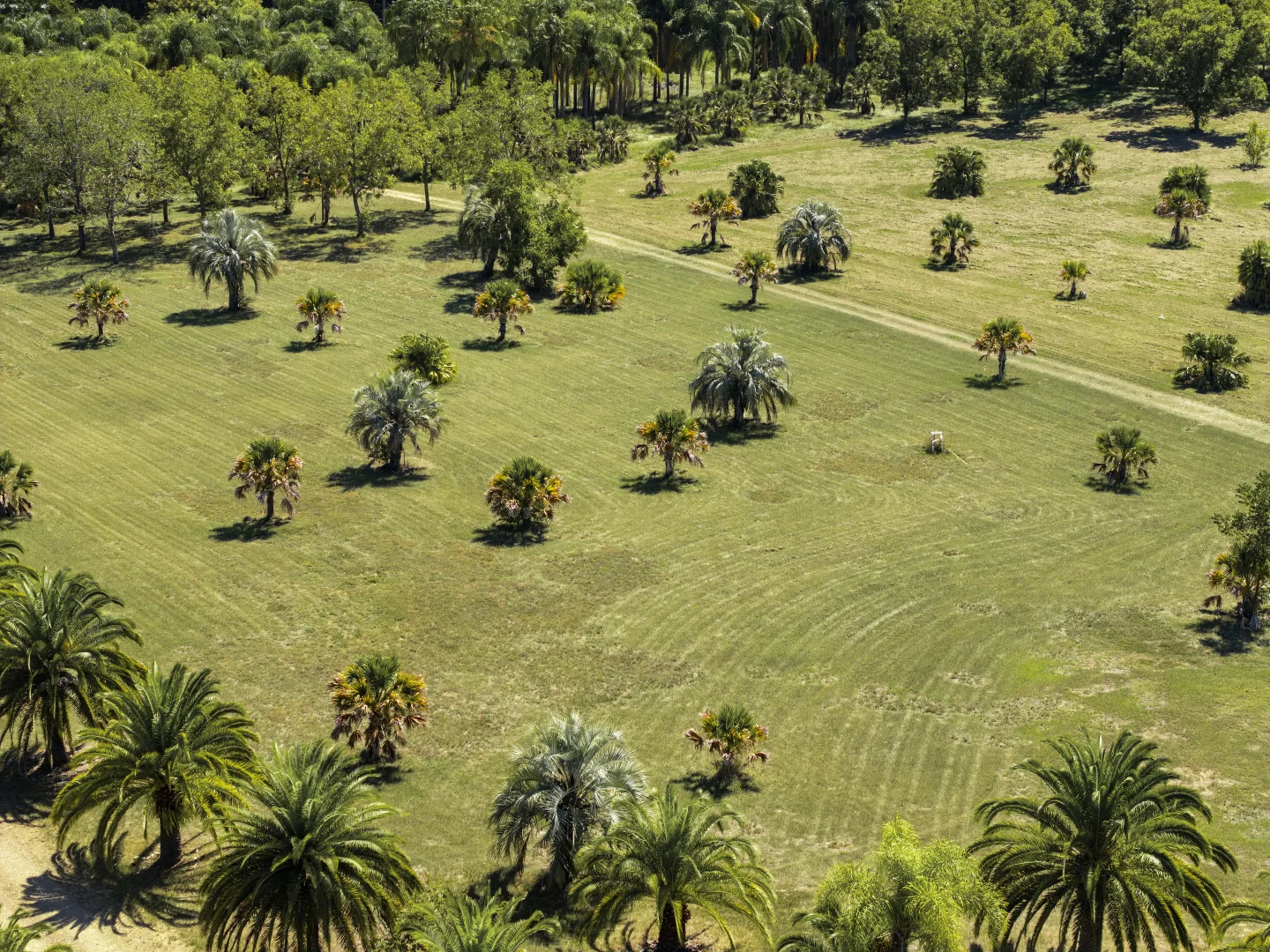 Additional image 24 of 370 Orara Road, Lanitza NSW 2460