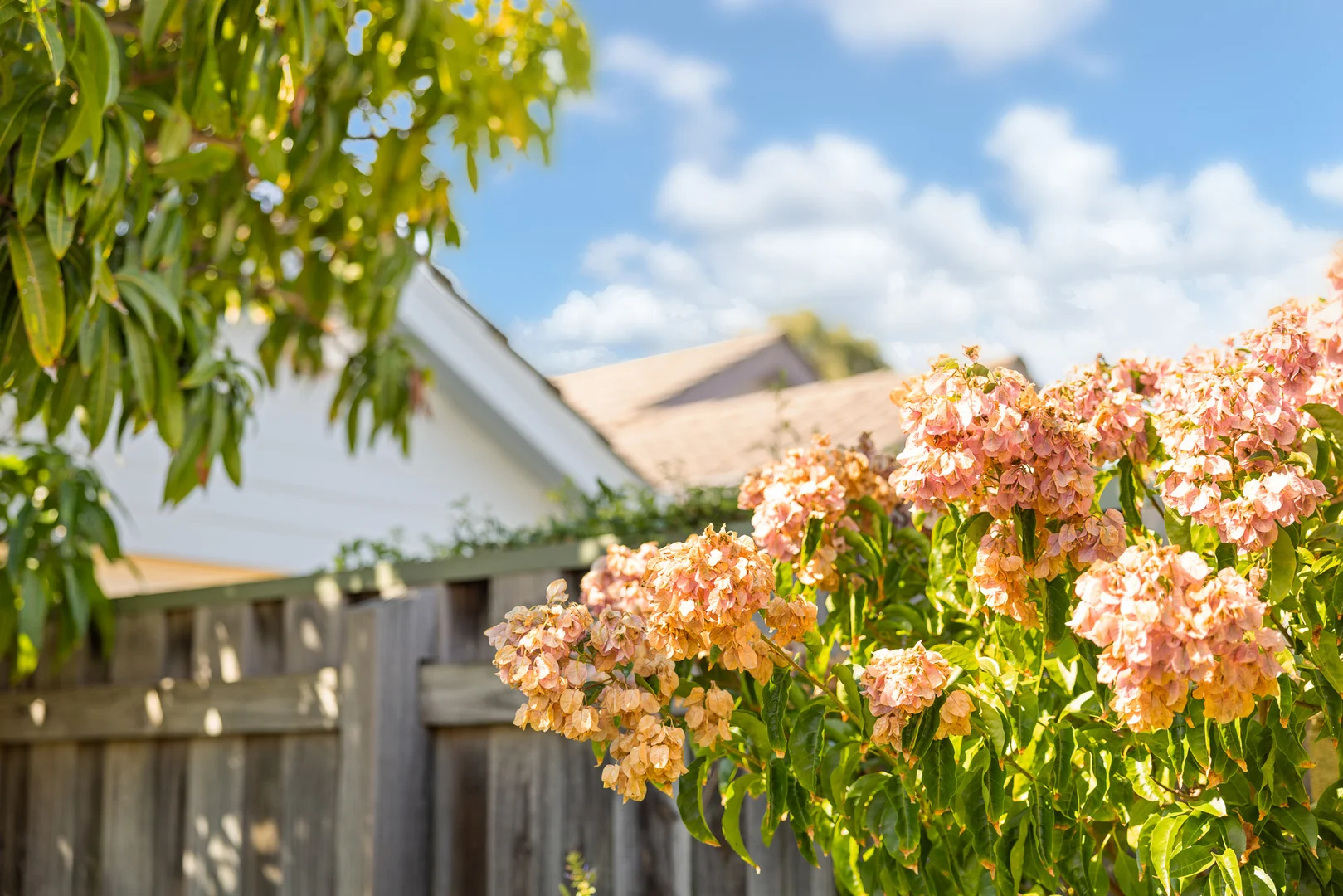 Additional image 18 of 3/14 Instone Street, Hilton WA 6163