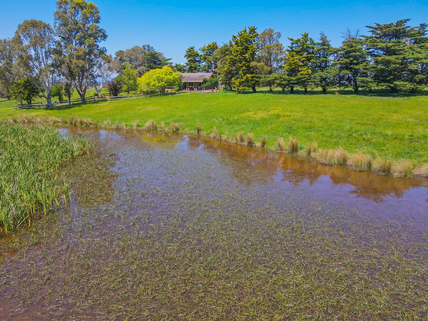20-williams-road-glengarry-vic-3854-house-for-sale-1-800-000