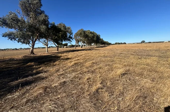 Additional image 11 of 291 Edward Road, Geraldton WA 6530