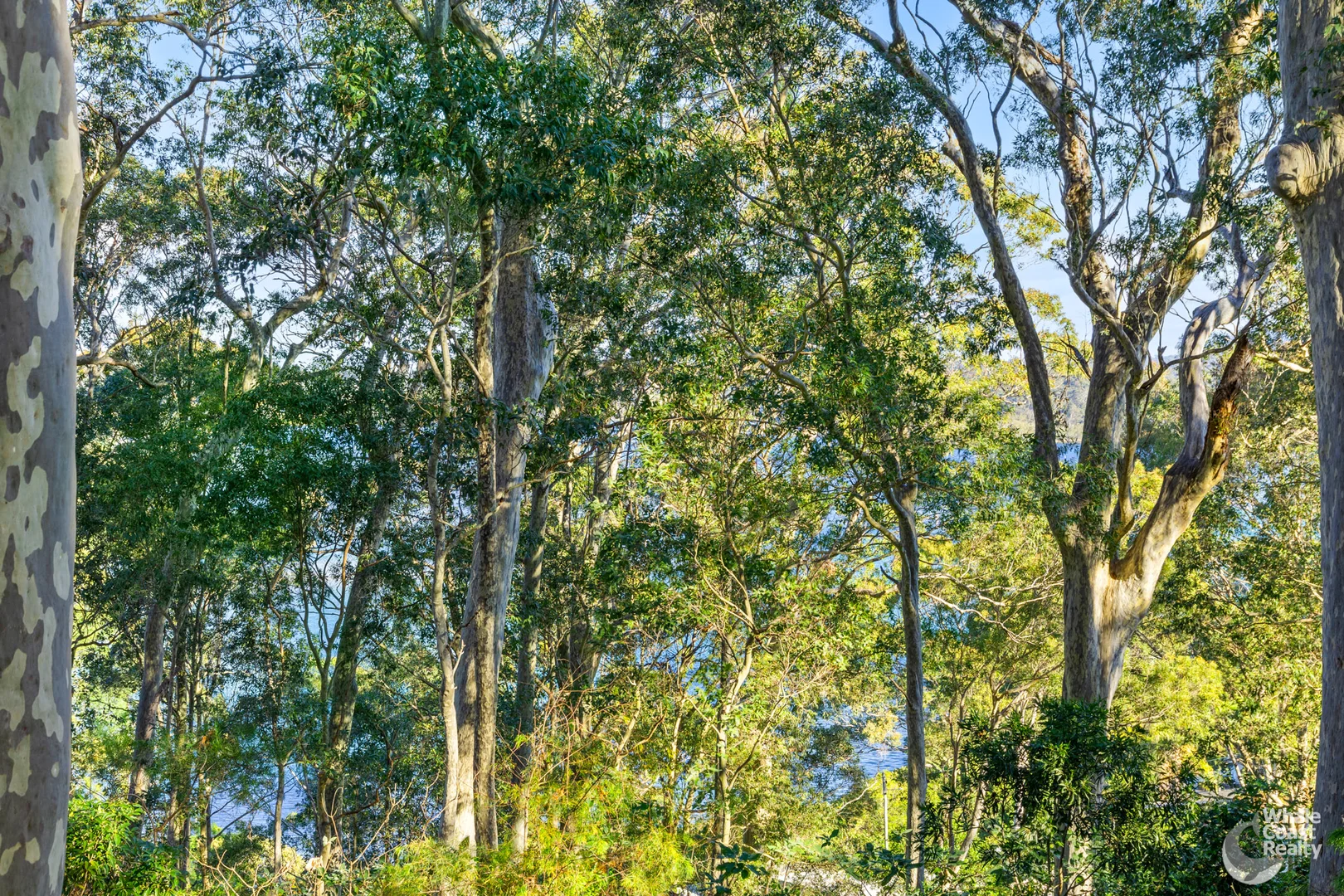Image 17
