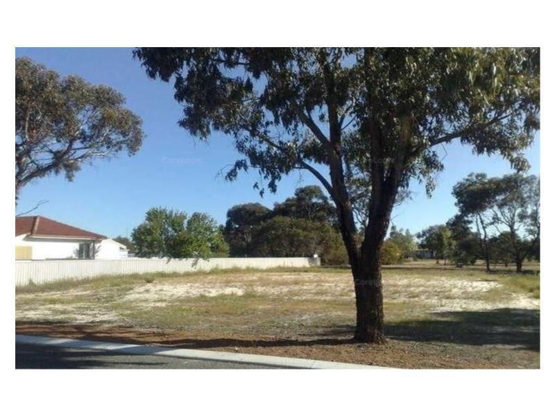 Lot 176 Armstrong Street, Cranbrook WA 6321, Image 1