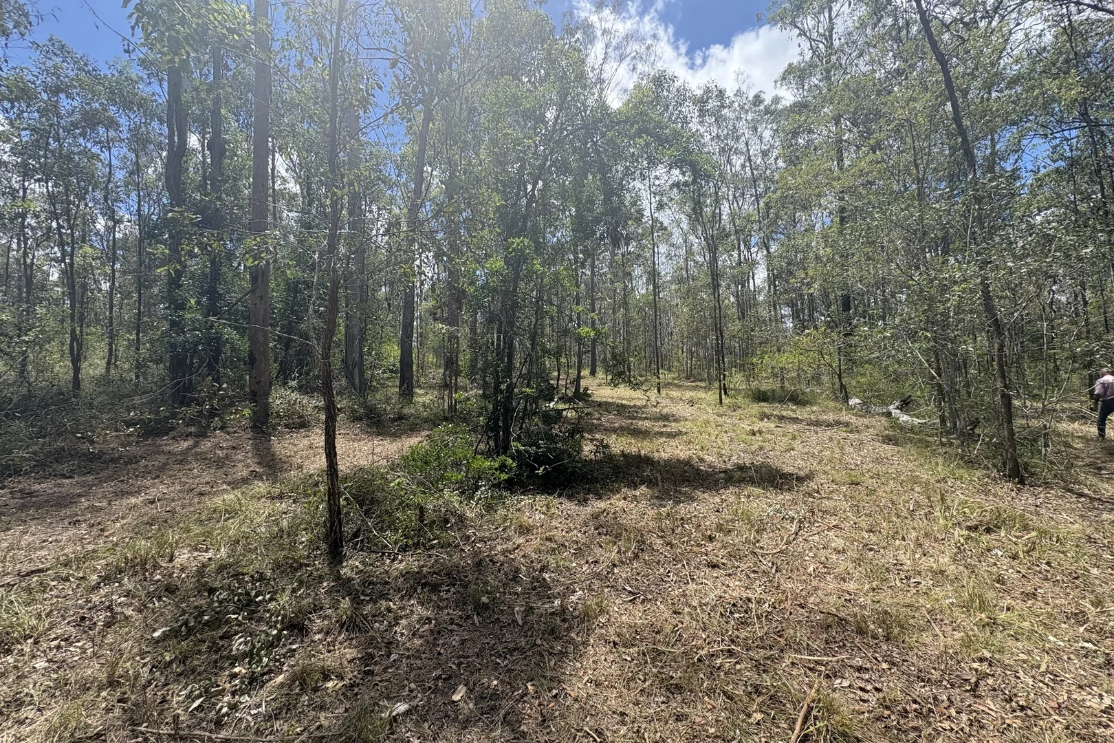 Additional image 7 of Lot 532 Arbornineteen Road, Glenwood QLD 4570