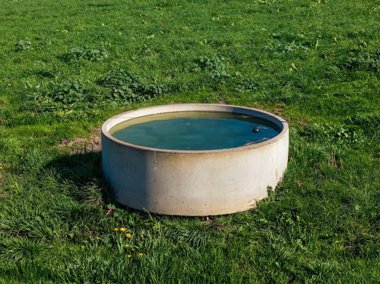 Image 14