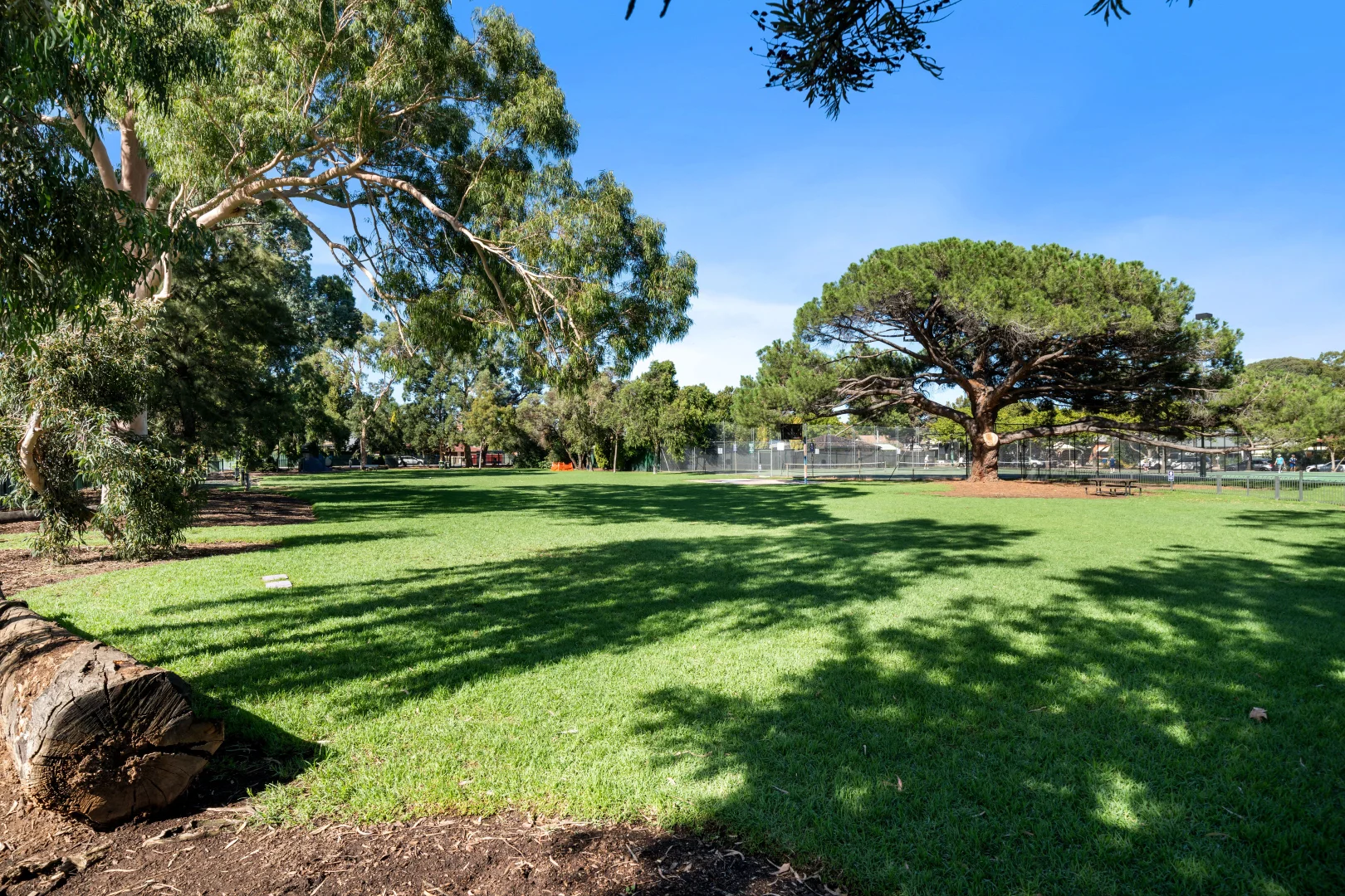 Additional image 25 of 218B Cross Road, Unley Park SA 5061