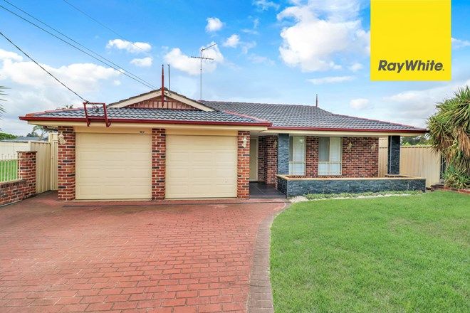 377 Houses For Sale In Mount Druitt Nsw 2770 Domain